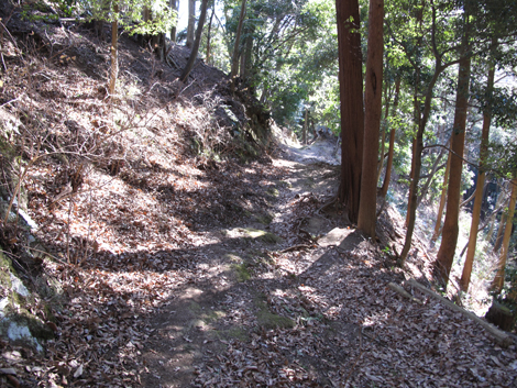 20170126hike (504)